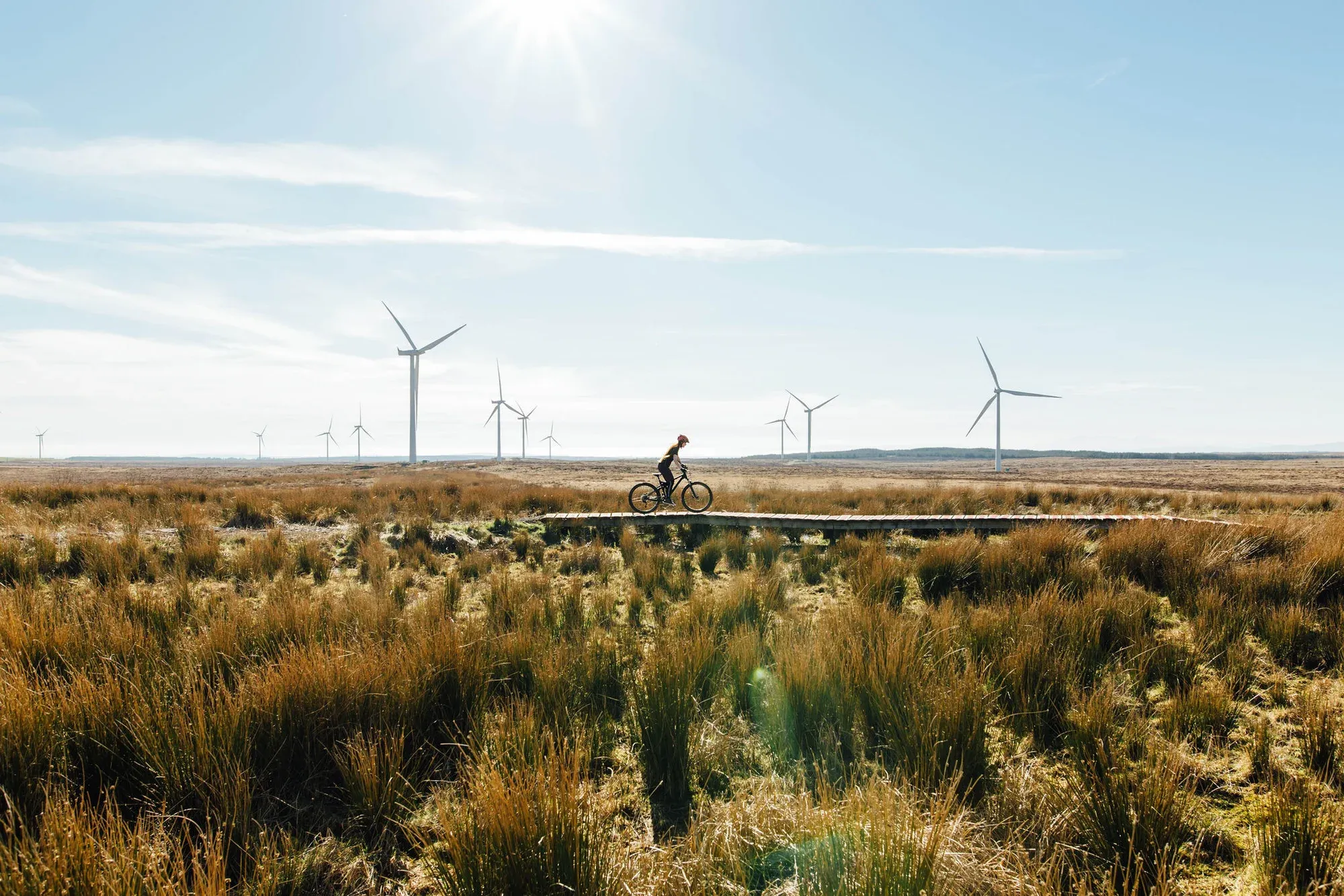 Sustainability