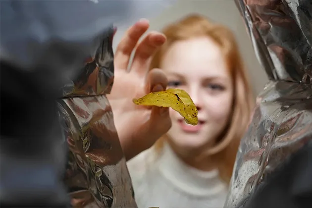 Hazard Analysis Critical Control Points (HACCP)